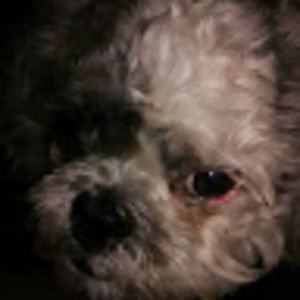 Meet your Posher, Deanna